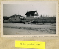 Norton 1950